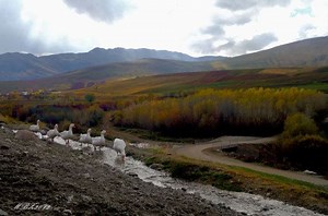 Lorestan Province - Alchetron, The Free Social Encyclopedia