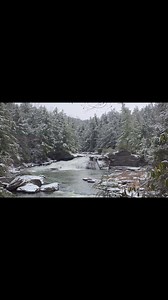 Swallow Falls Garrett County MD December 3, 2025 | Allegheny Mountains Weather
