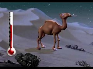 Adaptation Song (Animal Adventures' Lost Desert Habitat Song?)