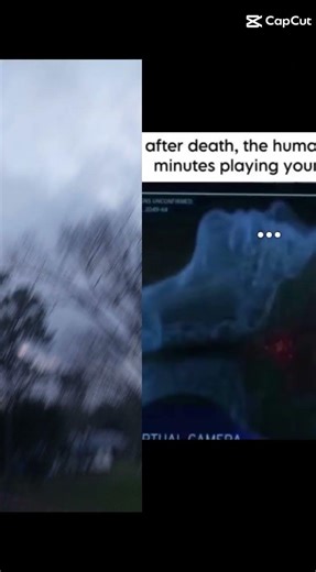 Olivia and Bibi (I'ma just say it so I don't get asked over n over again)