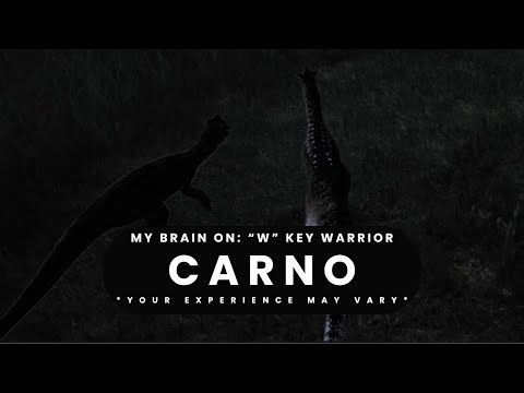 My Brain on Carno : W key Warrior