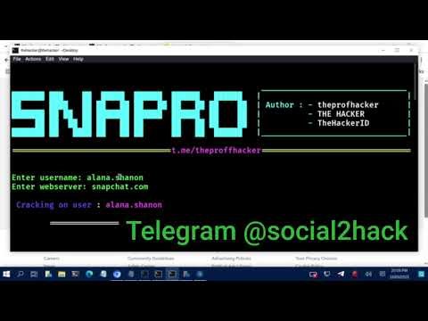 SNAPRO v1.9 - Password Recovery Tool