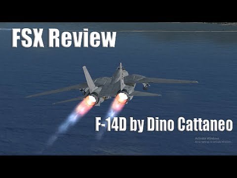 FSX Review: F-14 By Dino Cattaneo