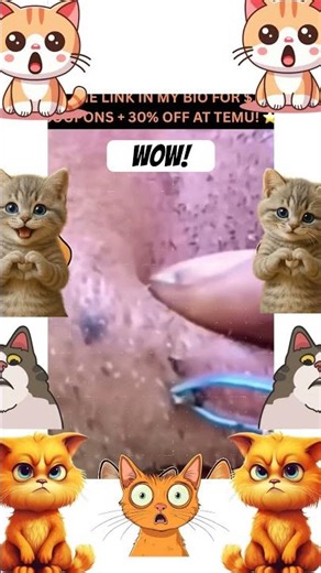 My favorite kind of pops 😊