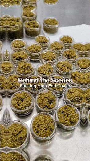 How High End Caviar is Packed and Delivered Fresh to Your Door - Real Gourmet Food