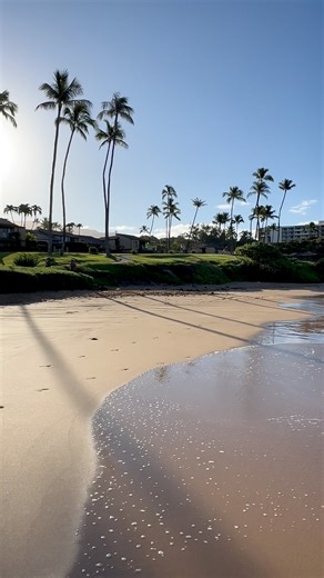 2.4K views · 1.5K reactions | Ulua Beach  Maui, Hawaii ️ • • • #aloha #maui #hawaii #wailea #Andaz #travel #explore #fblifestyle #vacation #tourism #tropical #island #paradise | Adam Hancock | Facebook