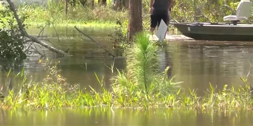 Tifton residents see power outages, flooding from Hurricane Helene