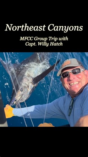 Cape Cod Blue Marlin