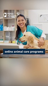 13 reactions | Our Vet Programs are convenient, accredited, affordable, and led by expert faculty. | Penn Foster | Facebook