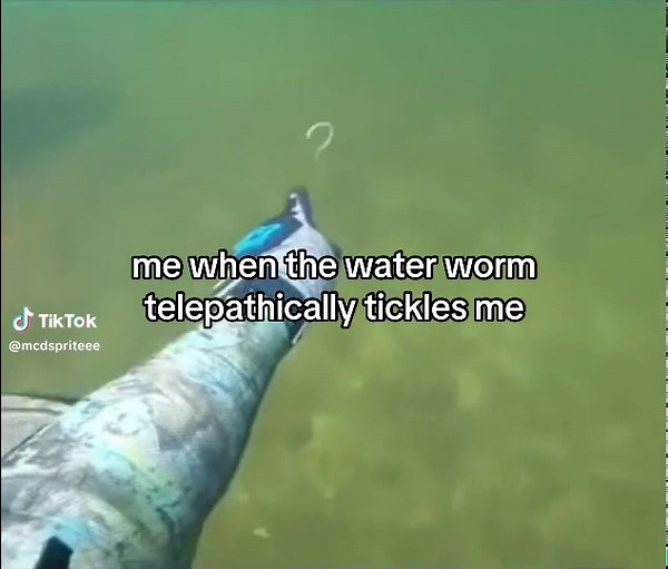 Discovering the Enigmatic Water Worm: Tickle and Telepathy