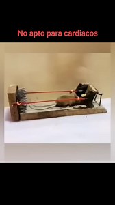 #trampas #roedores #ratones #flip #viralreelsfacebook #apple #mondaymotivation | Camilo Andres Martinez