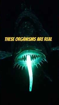 Extreme adaptations, alien anatomy, and predatory strategies.