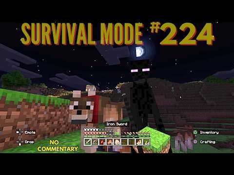 Minecraft Survival Mode Episode 224 No Commentary