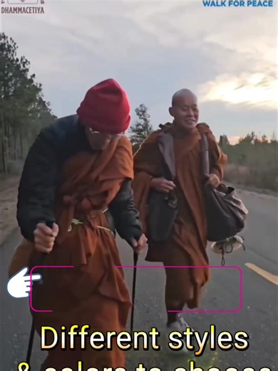 Essential Hiking Gear: The Best Walking Sticks for Trekkers