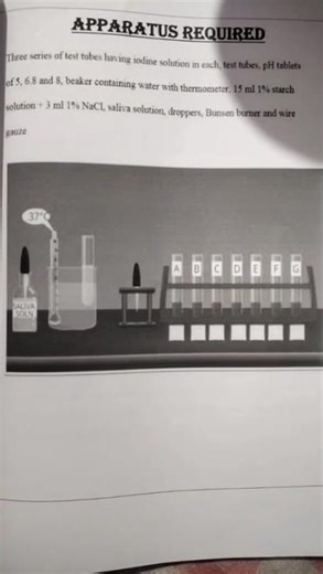 CHEMISTRY INVESTIGATORY PROJECT CLASS 12 #chemistry #project