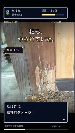 畳を全部捨てたら、木がスカスカだった。【1万円の古民家DIY】 #古民家 ♯DIY ♯シロアリ #築古物件 #diy #セルフリフォーム #diyあるある #diyあるある #リフォーム #床diy
