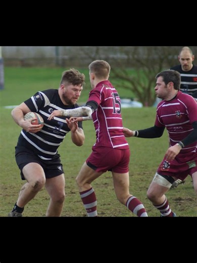 Over 40s Athlete Embraces Sumo and Brazilian Jiu-Jitsu