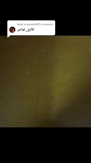 Exploring FIFA World Cup 2022 Football Cards