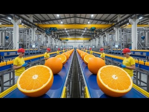 Inside a Massive Orange Juice Factory 🍊 From Fresh Oranges to Bottled Juice A to Z Process