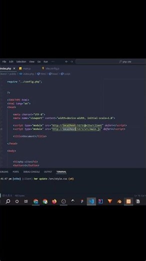 How to integrate vite js with a php backend