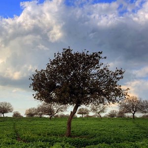 3.6K views · 121 reactions | This Jewish prayer is at the core of every worship service: | MyJewishLearning.com | Facebook