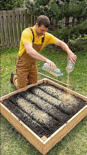 Stop Planting Carrots Like This! 🛑 Try The "Sand Trick" Instead 🥕