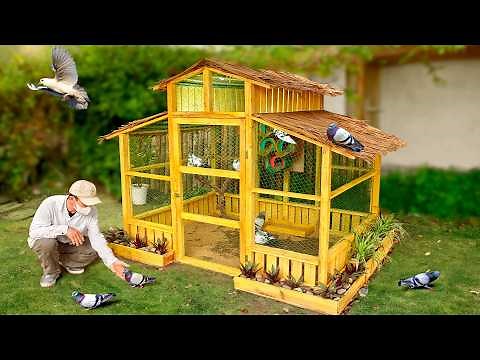 Turn discarded wood into awesome pigeon cage