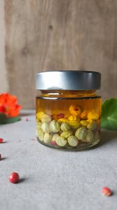 👇Eingelegte Kapuzinerkressesamen👇 Das absolute Geschmackserlebnis – uuuuunbedingt ausprobieren! Ach ja, nicht nur schmackhaft, sondern auch gesund! Auch die Samen der Kapuzinerkresse haben ein antibakterielles und antivirales Potenzial🤩 ‼️NOCH MEHR REZEPTE‼️ Noch meeeehr kreative Rezeptideen für die wilde Küche gibt’s in unserem Onlinekurs „Deine wilde Kräutertour“! Neben der Besprechung zahlreicher heimischer Wildkräuter, wird in diesem Kurs auch der Einsatz von Wildkräutern in der Küche the