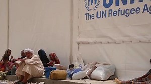 Civilians suffer as fight for Falluja rages