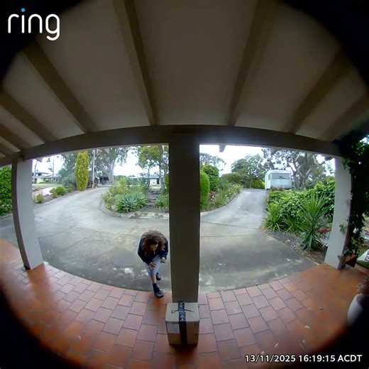 Just when they thought I had no more parcels coming…. #whoops #surprise #incomingmail #fyp #shoppingaddict