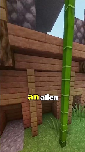 Different Dialects of Norwegian:Why Norwegians Can't Understand Each Other