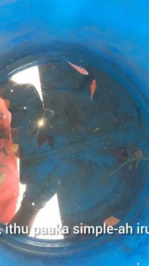 menu fish setup monster fish 🐟🐟🐟 #music #leo #anirudh