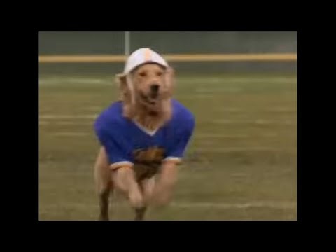 Air Bud Was Insane