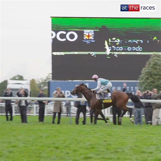 Frankel Unfiltered📽️ Unbeatable. Untouchable. Unforgettable ⭐️ | At The Races