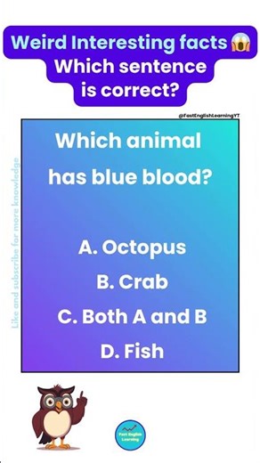 Which Sentence Is Actually Correct? 🤯 | Most People Fail | 😱 Weird Interesting Facts