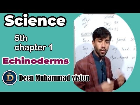 5th Class Science | کلاس پنجم سائنس | Echinoderms