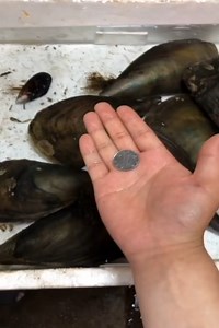 1.6M views · 18K reactions | when you poor but seafood is life | Amazing | Facebook