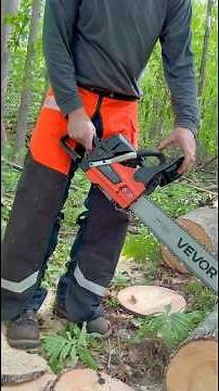 Quick review of the 62cc chainsaw from vevor