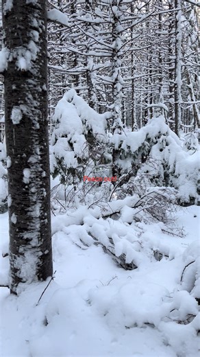 The most intelligent people plan the life they want. Self storage can provide the time & money to make it happen.