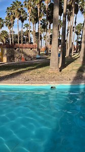 1.6K reactions · 302 shares | https://maps.app.goo.gl/AgotZ5Htnmapwgbp8?g_st=aw | Mundo Aventura | Facebook