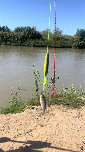 Ultimate Texas Fishing Experience: Gar Fishing Tips