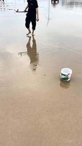 Catching mantis shrimp this way is so easy! #OutdoorSeafoodCatching #SeafoodCatchingVideo | Anhnongdanth