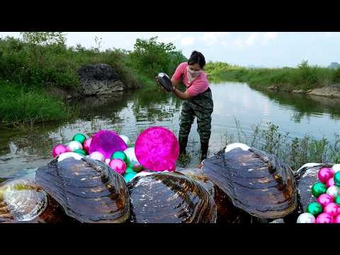 😱Pry open the giant clam, inside it nurtures super large and high-quality pearls, captivating people