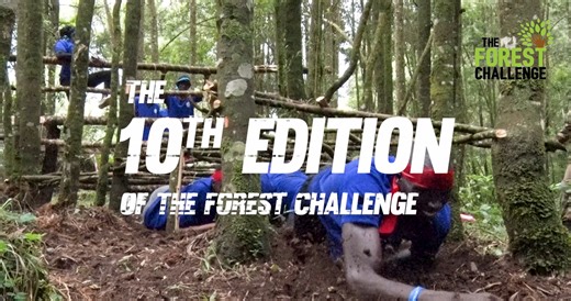 1.3K views · 109 reactions |  The #ForestChallenge is back — bigger,...
