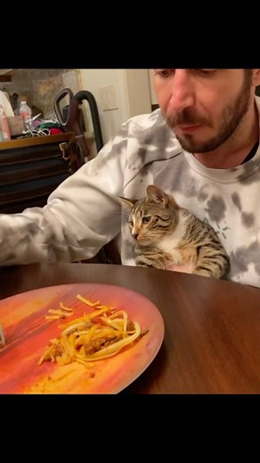 BRANDON FRANKEL | Since this one got 500k+ on tiktok, figured we’d try this as a reel. Gotta love @derrelljermainedupree and bonus points for @gabby3shabby... | Instagram