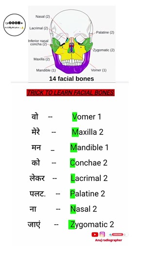 TRICK TO LEARN FACIAL BONES !!