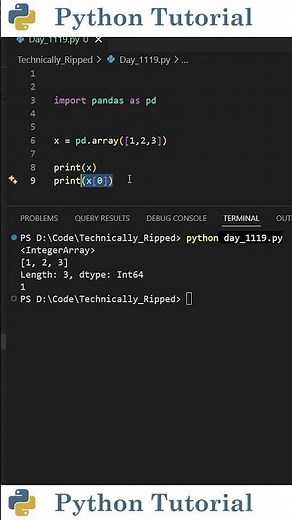 The Pandas Array Explained | Python Tutorial