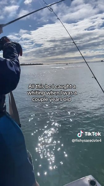 Whiting Fishing Techniques for Beginners