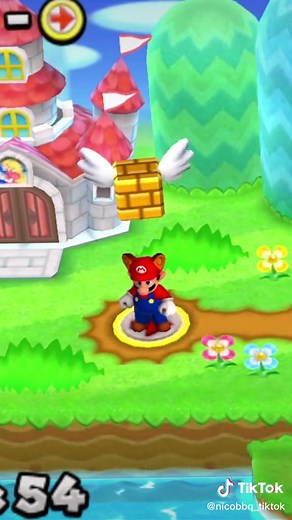 Discovering the Secret Level in New Super Mario Bros. 2!