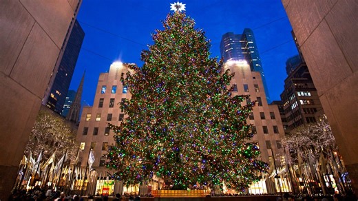 The Secret Value Behind the Rockefeller Center Christmas Tree
